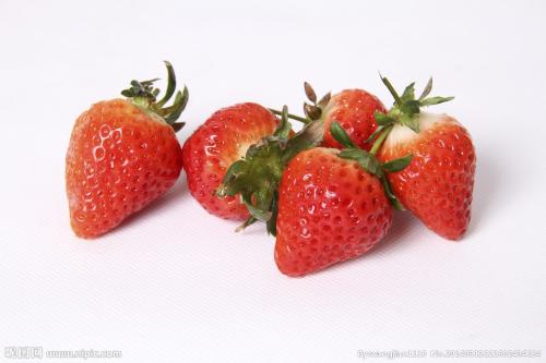草莓特产介绍 草莓哪里产的好吃又便宜
