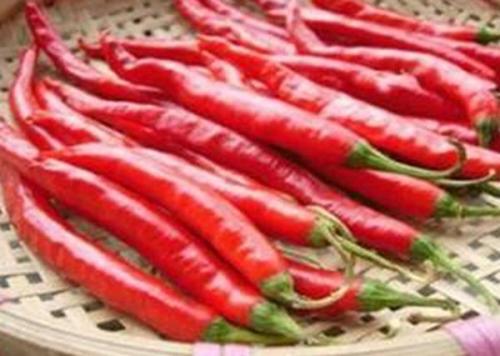 新疆特产红辣椒 新疆上色最好的干辣椒