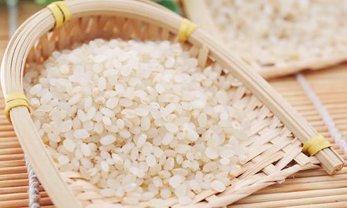 五常大米面特产 五常市大米为什么好吃