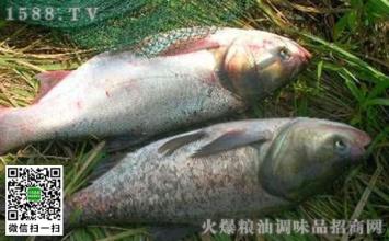 贵池特产鳜鱼 桂林义江鳜鱼