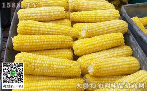 玉米是什么地方特产 什么地区的玉米粘性大又好吃
