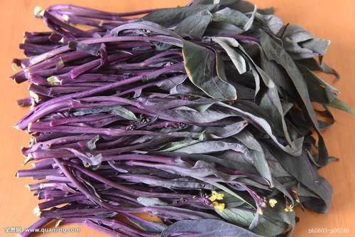 福建特产紫菜袋子叫什么名称 福建生产的紫菜好吗