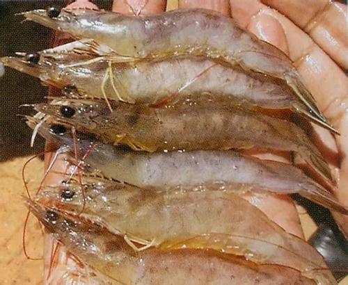 台州特产黄鱼鲞怎样做法 风干黄鱼鲞的烹饪方法