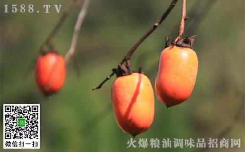高青特产西红柿 高青西红柿12一斤