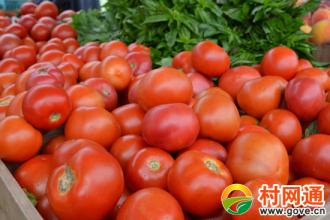 陕北特产像小西红柿的是什么 陕北的土特产有哪些