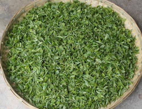 慧明寺绿茶特产 宝山区名优绿茶食用方法