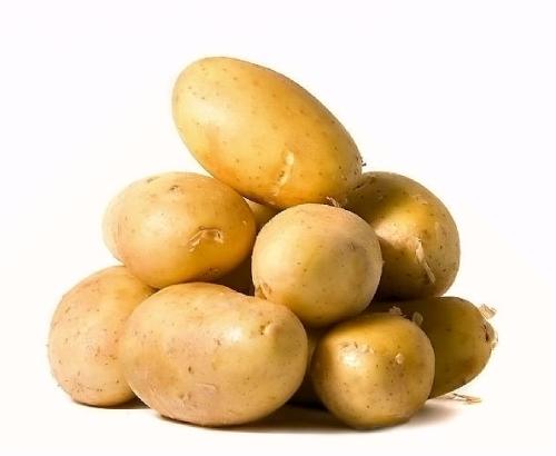 昆明哪里有东川特产疙瘩红薯 云南最正宗的红薯