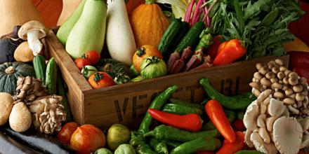 济南蔬菜土特产超市 济南菜市场的菜是从哪里批发的