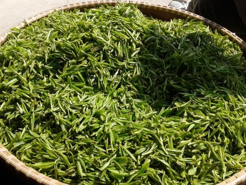 不丹特产茶叶 不丹必买的十种特产