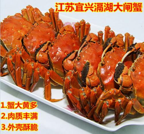 大闸蟹中国哪里的特产 中国顶级大闸蟹在哪里