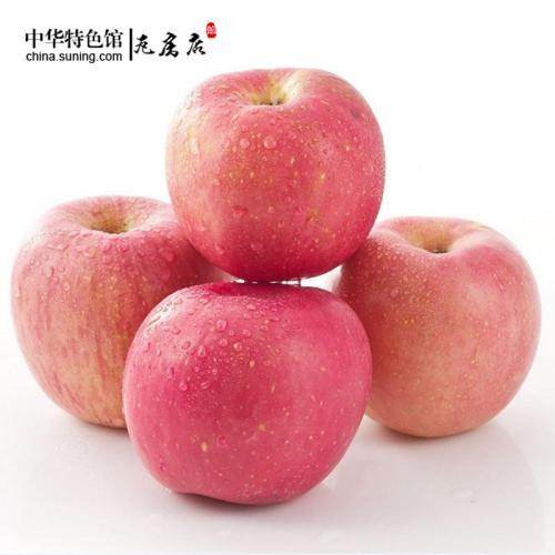 特产红富士苹果 中国哪里产的红富士苹果好吃