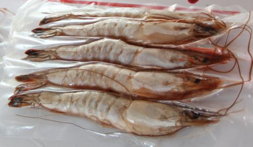 烟台特产对虾虾酱 烟台市场上有新鲜现磨的虾酱吗