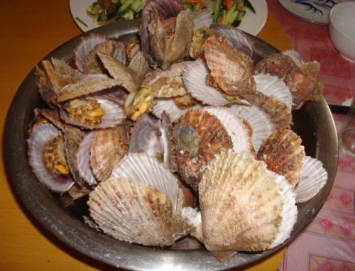 山东海鲜特产贝壳类 山东海鲜为什么品种多