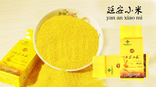 陕西省横山县土特产油小米 陕北油小米和普通小米有什么不同