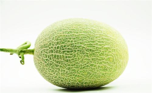 哈密瓜哪里的特产最出名 哈密瓜是哪里的土特产