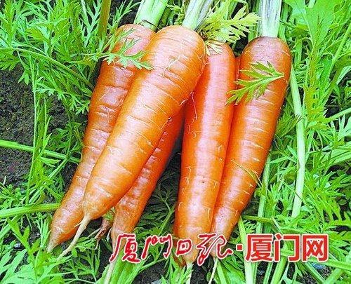 河南特产胡萝卜汁 甘肃兰州胡萝卜汁