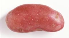 地瓜粉是温州特产吗 温州地区红薯粉的吃法