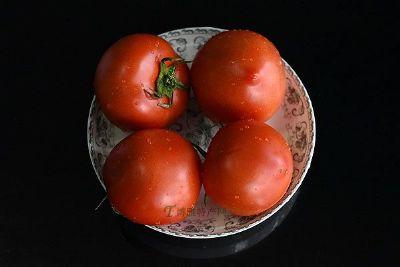 梁心番茄