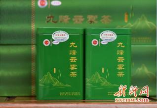 云雾茶叶是哪里的特产 高山云雾茶是哪个地方的特产
