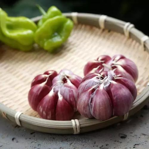 紫皮大蒜特产图片 中国最好的紫皮大蒜