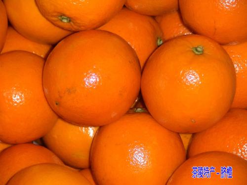 奉节脐橙是哪个省的特产 奉节脐橙怎么出名的