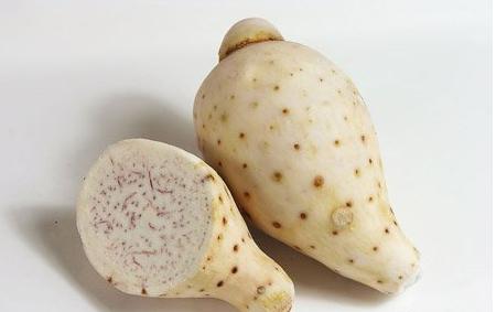 魔芋粉是哪的特产 正宗的四川魔芋粉