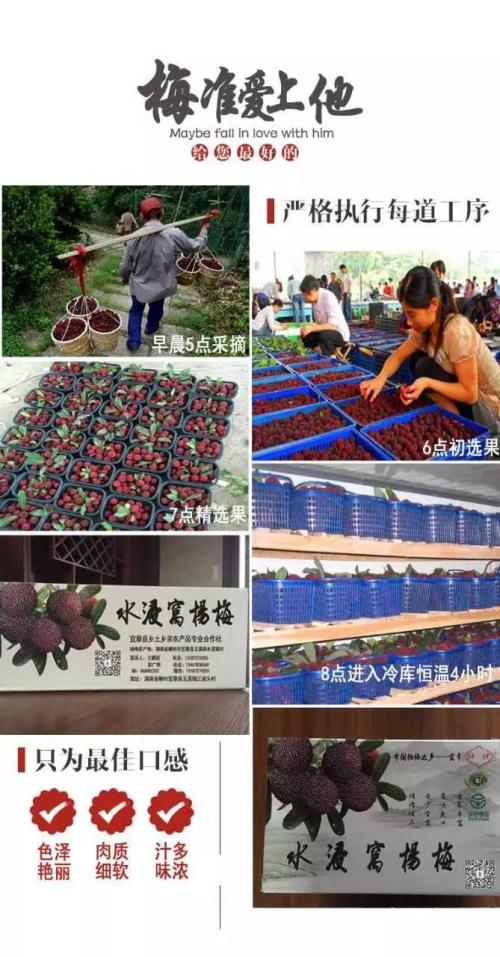 湖南郴州特产大嘴鱼 郴州的特产东江鱼一斤多少钱