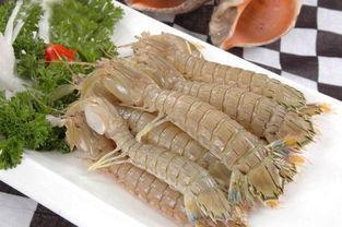 乳山特产虾 乳山最好吃的鱼虾蟹