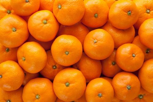 南沱特产柑橘基地直供 四川荣县哪里可以买到柑橘