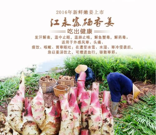 江永县鱼类特产介绍 江永县的特产有哪些