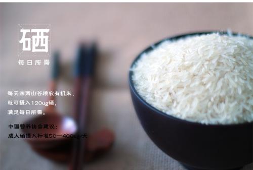 缅甸特产大米 缅甸大米什么米最好