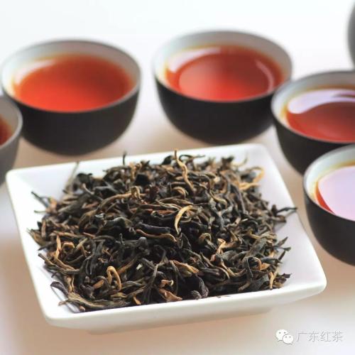 红茶是哪里特产 红茶哪里盛产