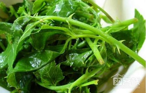 蔚县特产野菜大全 河北野菜有哪几种