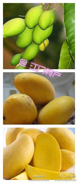 介绍广东鹤山水果特产 广东江门鹤山的特产