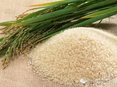 甘肃有什么特产大米 甘肃生产大米吗