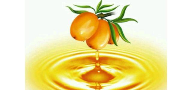 新疆特产沙棘果油250克多少钱 新疆正品沙棘籽油十大品牌