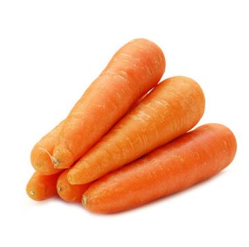 胡萝卜土特产介绍 哪里的本地胡萝卜最好吃