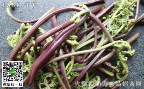 河北蔚州特产蕨菜 河北省保定市哪里有蕨菜