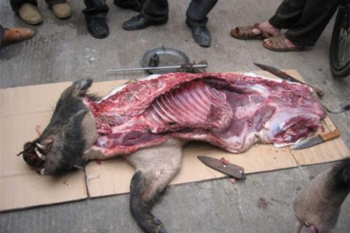 西藏特产猪肉丸子 西藏小吃牛肉丸子