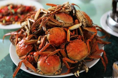 苏州特产醉螃蟹如何吃 苏州正宗阳澄湖螃蟹