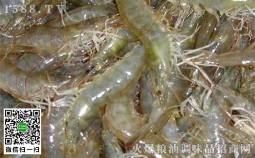 海南特产淡水虾蓝色 海南野生虾哪里比较多