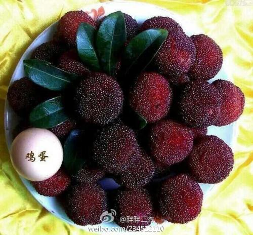 4月丹东特产水果 丹东每月时令水果