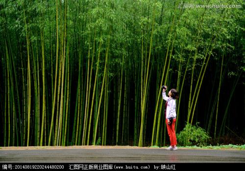 竹子算特产吗 竹子哪里盛产