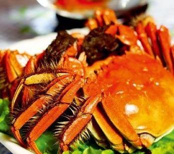 大闸蟹是什么地方的特产 中国最特色的大闸蟹