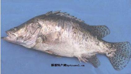 臭鳜鱼哪县特产 臭鳜鱼是安徽哪里的特产
