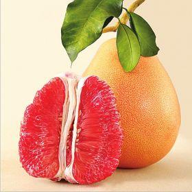 宁德特产水果有哪些品种 宁德一年四季的水果