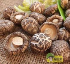 广西环江特产香菇价格 广西浦北红蘑菇哪里有卖