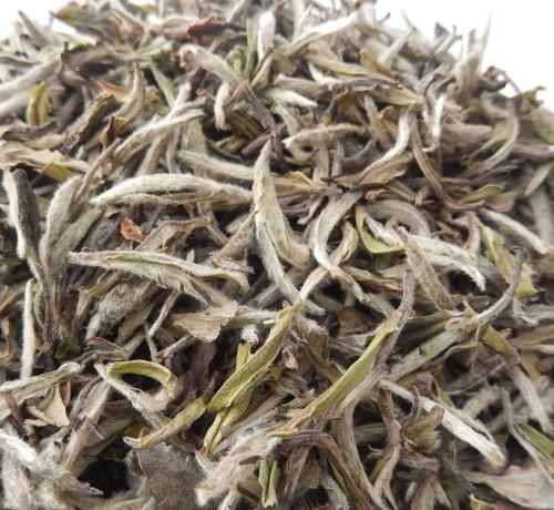 安吉特产珍稀白茶有哪些 浙江安吉白茶哪里产的最出名
