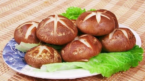 陕西特产香菇有哪些特点 陕西香菇多少钱一斤