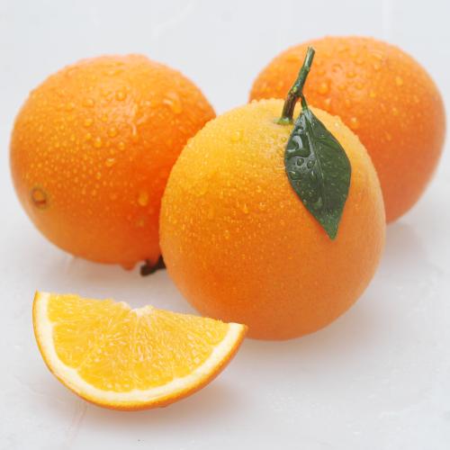 奉节三峡特产脐橙 奉节县哪里产脐橙最好吃
